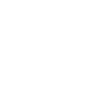 VCA@4x